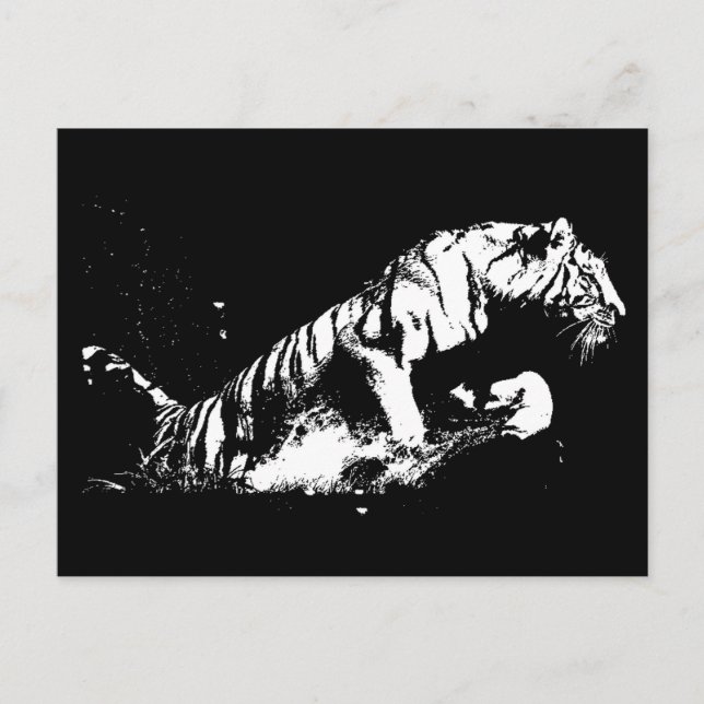 Tiger Attacking Postcard (Front)