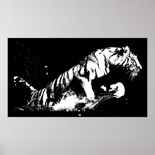 Tiger Attacking Poster Print - Tiger Black & White (Front)