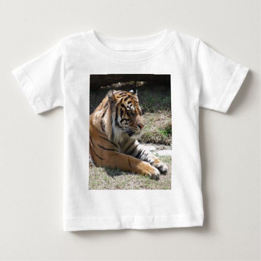 tiger baby T-Shirt