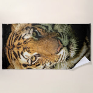 tiger beach towel