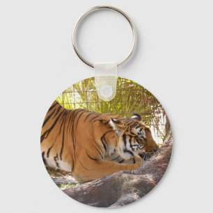 Tiger Bengali 001 Key Ring