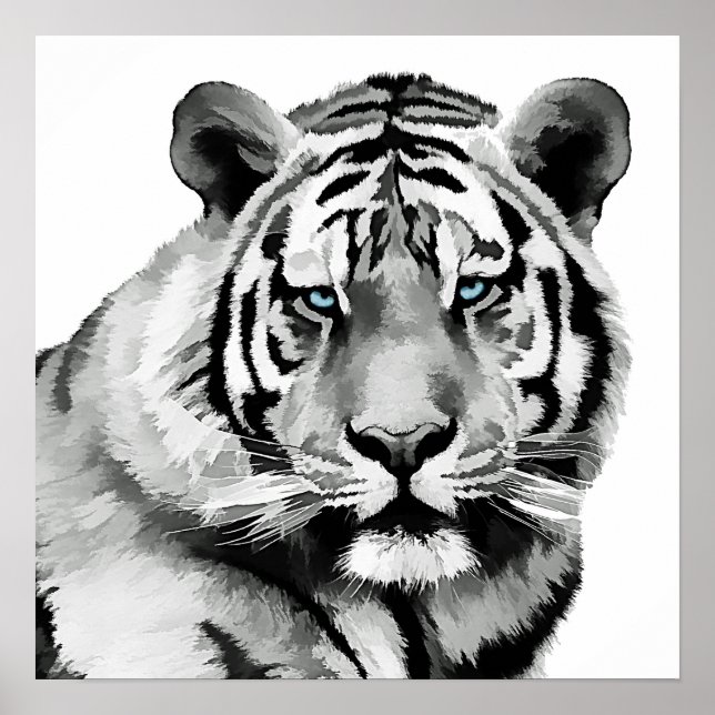 Tiger Black and White Blue eyes Poster (Front)