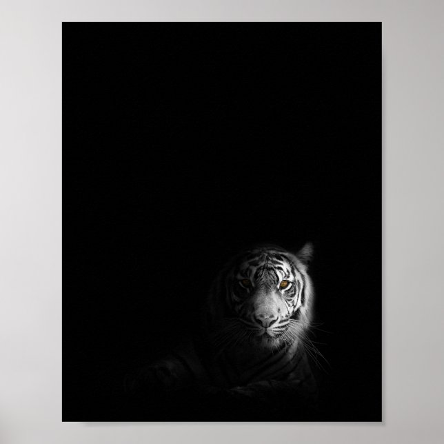 Tiger, black and white photograph, poster (Front)