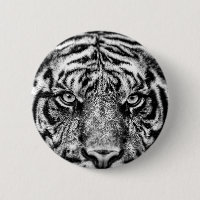 Tiger Black and White Photography