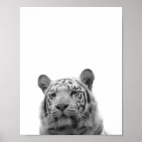 Tiger Black White  Cabin Nursery Photo Poster