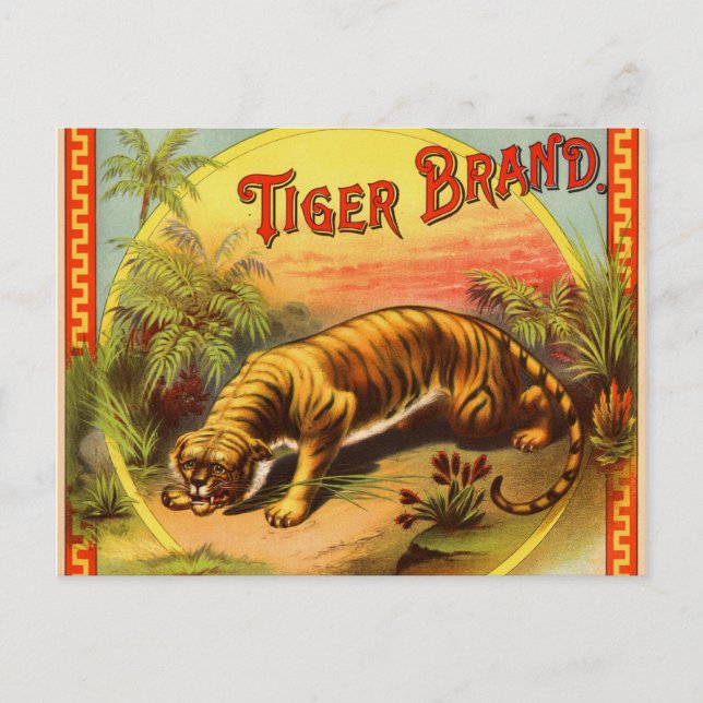 Tiger Brand 1900 Postcard (Front)