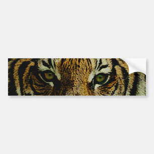 Tiger Bumper Sticker