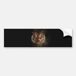 Tiger Bumper Sticker