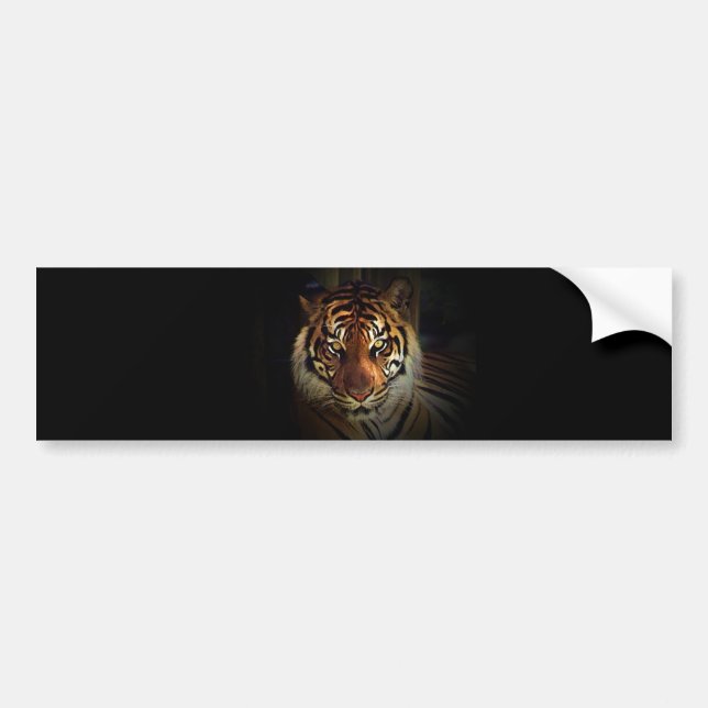Tiger Bumper Sticker (Front)