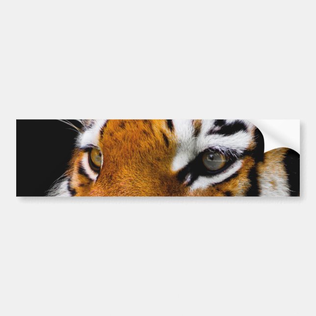 Tiger Bumper Sticker (Front)
