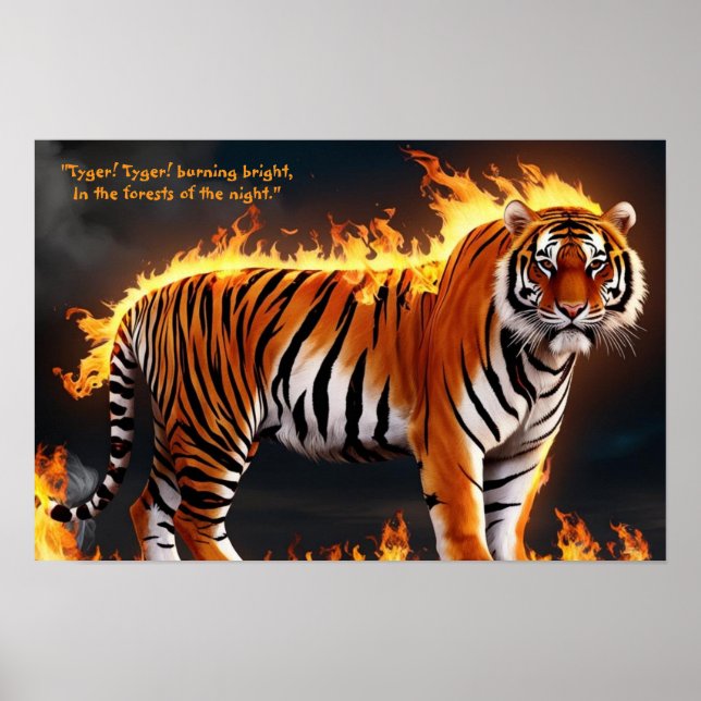 Tiger Burning  Poster (Front)