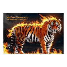 Tiger Burning  Poster