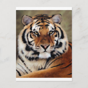 Tiger by Psyco Postcard