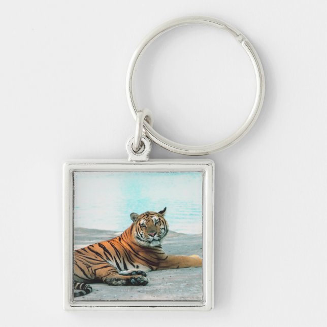 Tiger by river key ring (Front)
