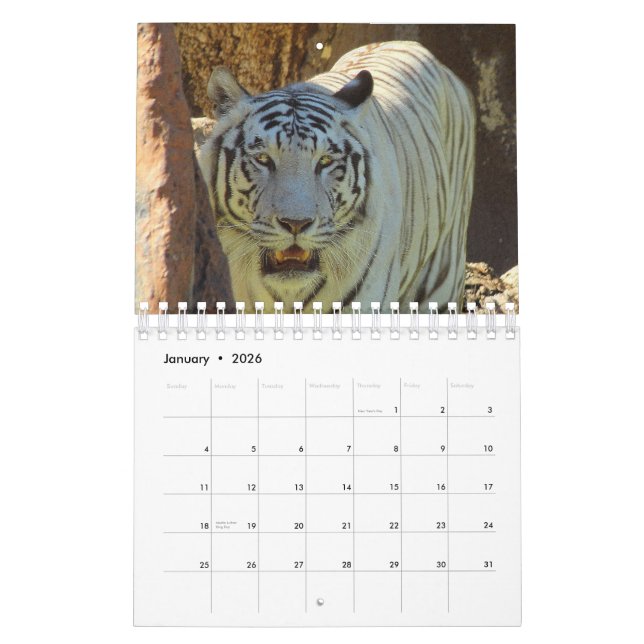 Tiger Calendar (Jan 2026)