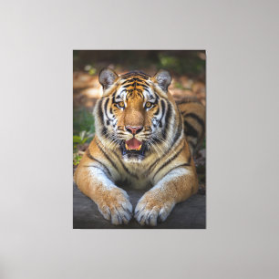 Tiger Canvas Print