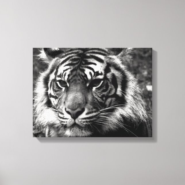 Tiger Canvas Print (Front)