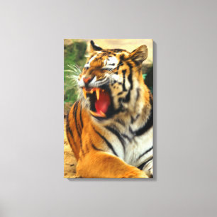 tiger canvas print