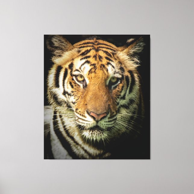 tiger canvas print (Front)