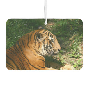 Tiger Car Air Freshener