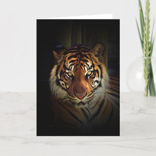 Tiger Card