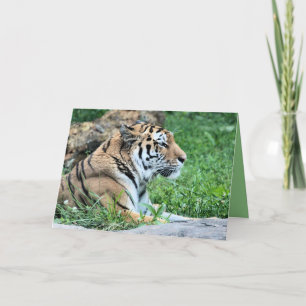 Tiger Card