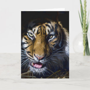 Tiger Card