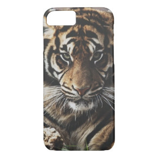 Tiger Case