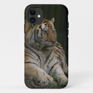 Tiger iPhone 11 Case
