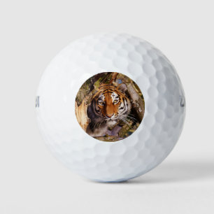 Tiger Cat Animal Stripes Pattern Destiny Destiny's Golf Balls
