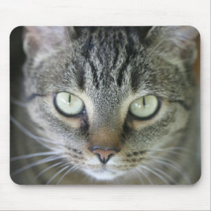 tiger cat face mouse mat