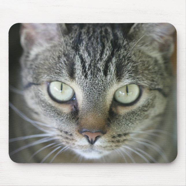 tiger cat face mouse mat (Front)