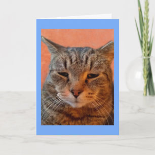Tiger Cat Miss You Card