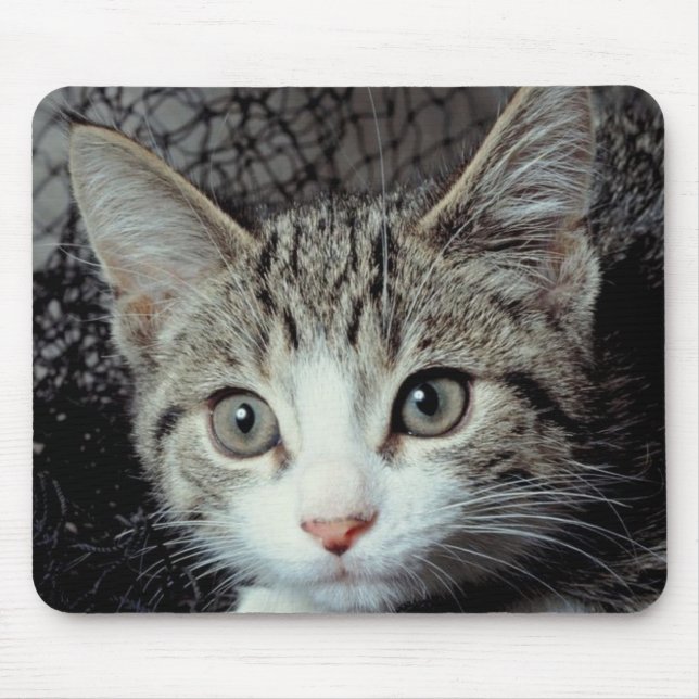 Tiger Cat Mouse Mat (Front)