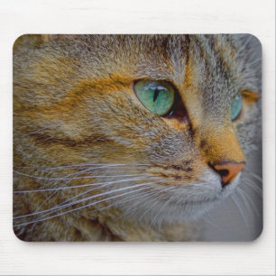 Tiger Cat Portrait Mouse Mat