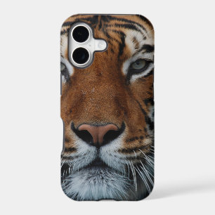 Tiger Cat Stripes Jungle Mist Animal