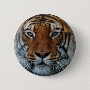 Tiger Cat Stripes Jungle Mist Animal 6 Cm Round Badge