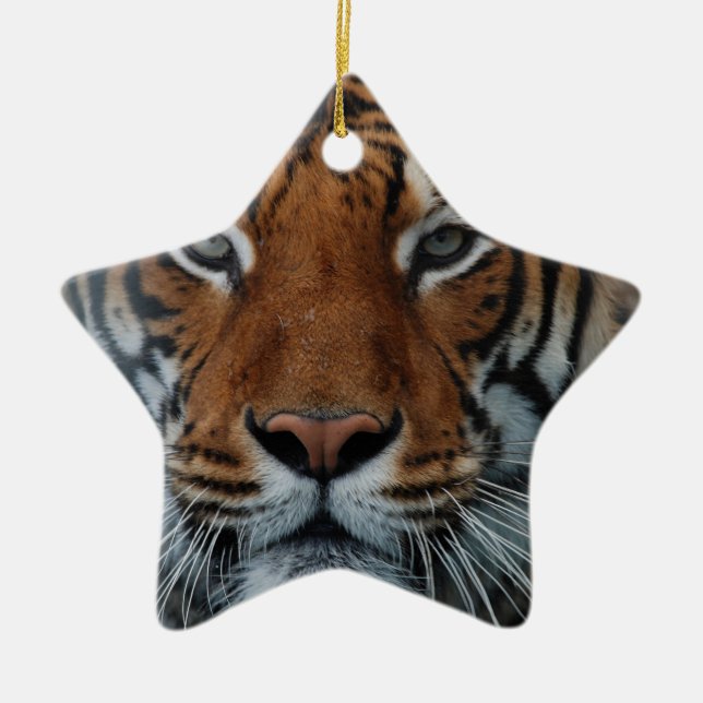 Tiger Cat Stripes Jungle Mist Animal Ceramic Tree Decoration (Front)