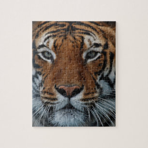 Tiger Cat Stripes Jungle Mist Animal Jigsaw Puzzle