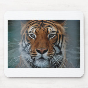 Tiger Cat Stripes Jungle Mist Animal Mouse Mat