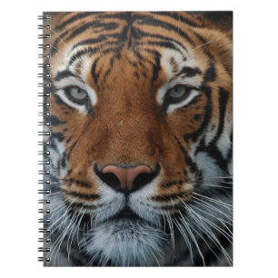 Tiger Cat Stripes Jungle Mist Animal Notebook