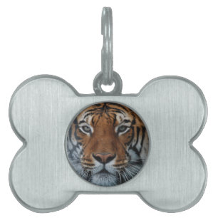 Tiger Cat Stripes Jungle Mist Animal Pet ID Tag