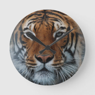 Tiger Cat Stripes Jungle Mist Animal Round Clock