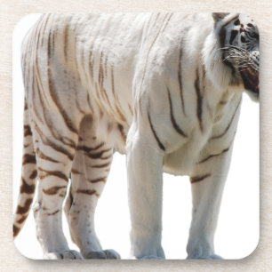Tiger cat stripes personalise diy Anniversaries Coaster