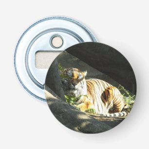 Tiger Catnap Bottle Opener