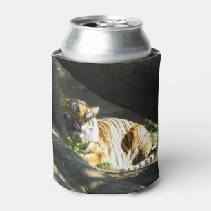 Tiger Catnap Can Cooler