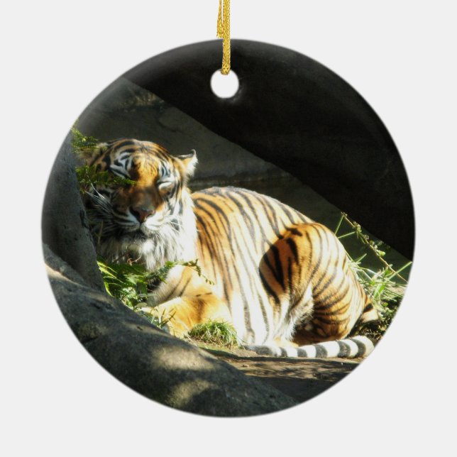 Tiger Catnap Ceramic Tree Decoration (Back)