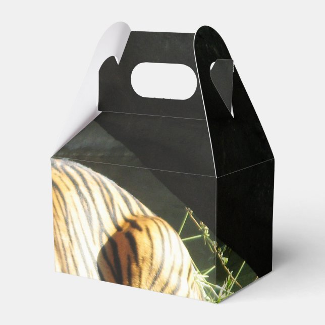 Tiger Catnap Favour Box (Front Side)