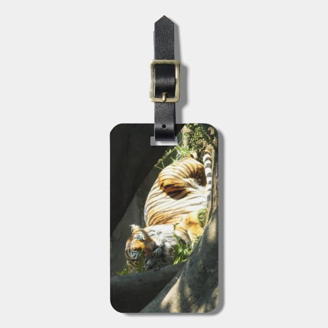 Tiger Catnap Luggage Tag (Front Vertical)