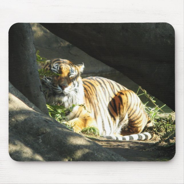 Tiger Catnap Mouse Mat (Front)
